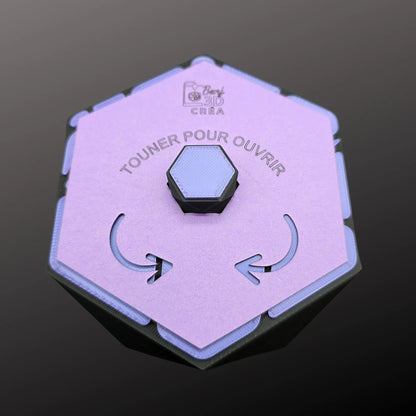 Écrin Voronoi — Sculpture de Rangement